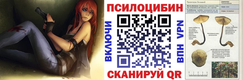 наркошоп Шилка Псилоцибиновые грибы мицелий